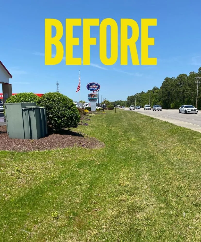 Professional lawn care service in Myrtle Beach, SC by Myrtle Beach Lawn Care