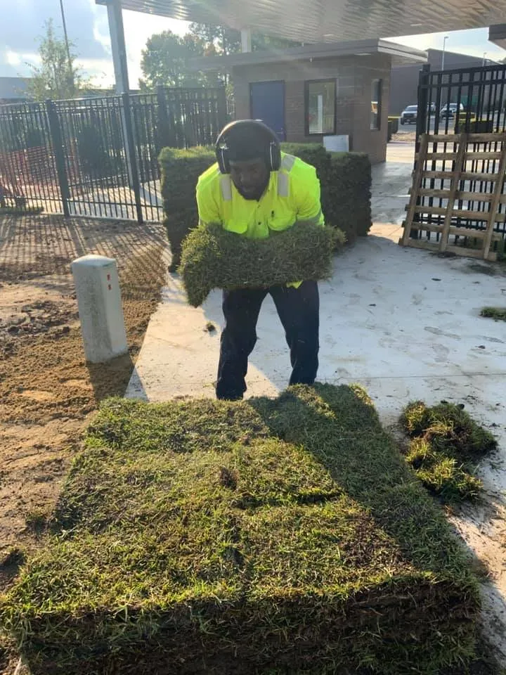 Top-rated lawn care service in Myrtle Beach, SC - Myrtle Beach Lawn Care