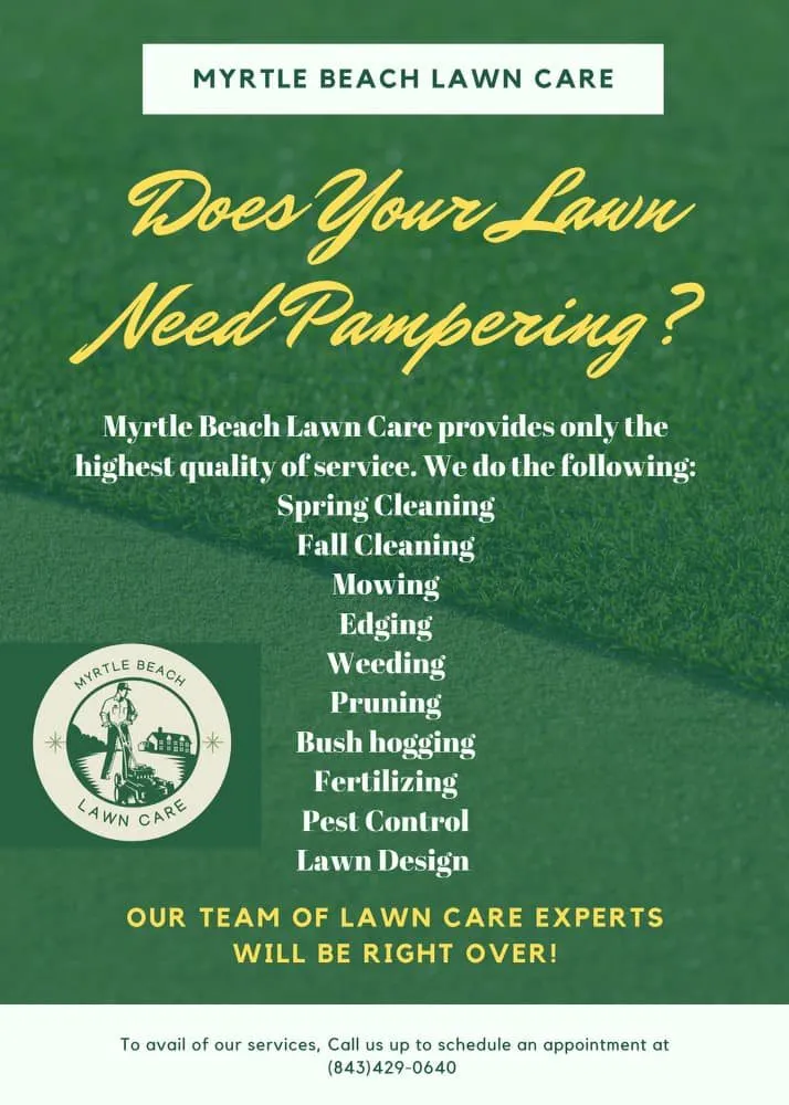 Trusted yard maintenance in Myrtle Beach, SC - Myrtle Beach Lawn Care