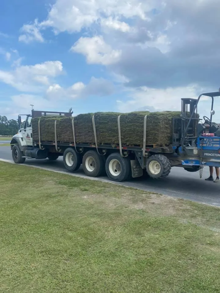 Reliable lawn care service in Myrtle Beach, SC - Myrtle Beach Lawn Care