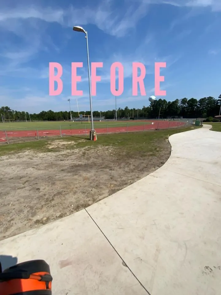 Affordable landscape design for homes across Myrtle Beach, SC - Myrtle Beach Lawn Care