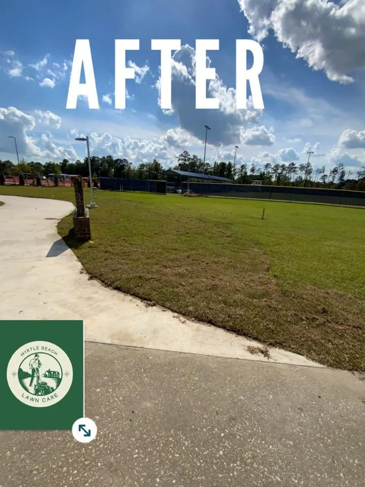 Affordable landscaping services experts serving Myrtle Beach, SC - Myrtle Beach Lawn Care