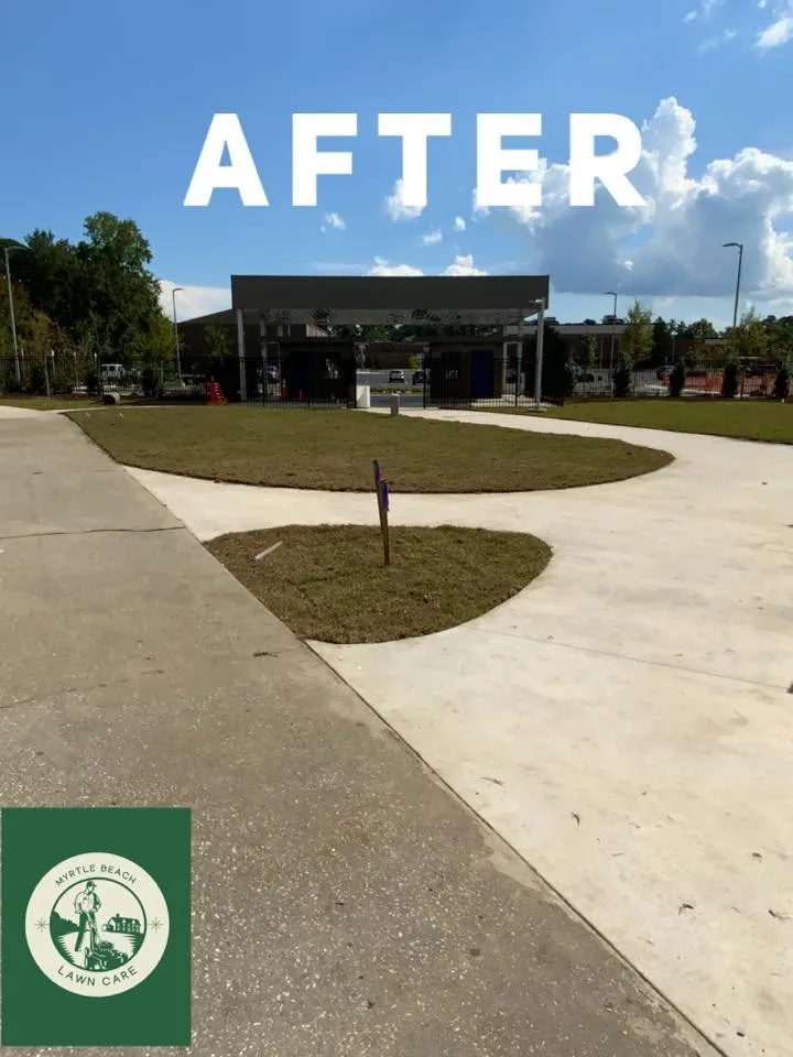 Custom yard maintenance experts serving Myrtle Beach, SC - Myrtle Beach Lawn Care