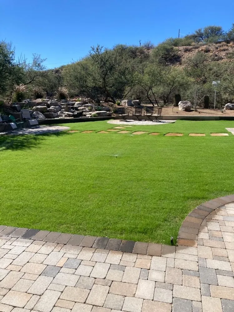 Local lawn care service for residential properties across Mesa, AZ - MYS Landscape