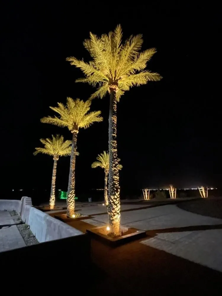 Custom garden landscaping for homes in Mesa, AZ by MYS Landscape