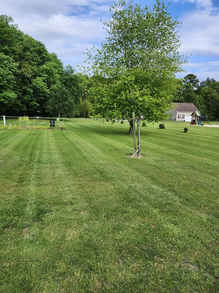 Professional landscape design experts serving Georgetown, DE - Myself & My Trailer