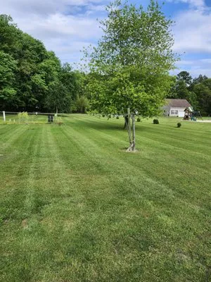 Myself & My Trailer Logo
