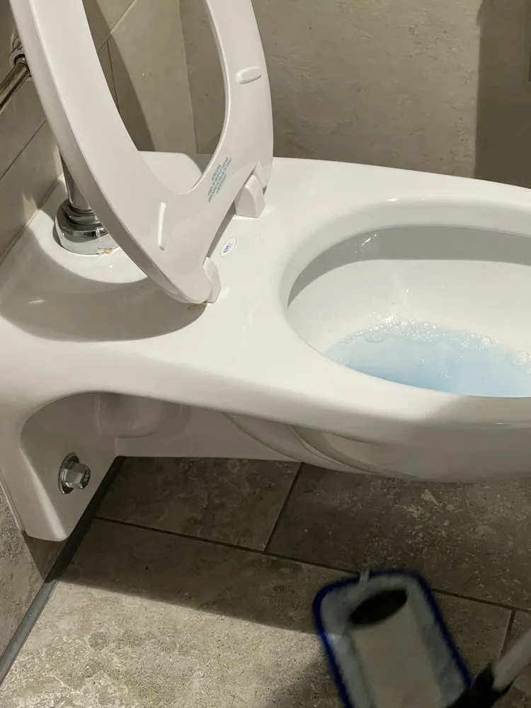 Expert lawn care service in Gonzales, LA by Mystery Assistant Cleaning and Lawn