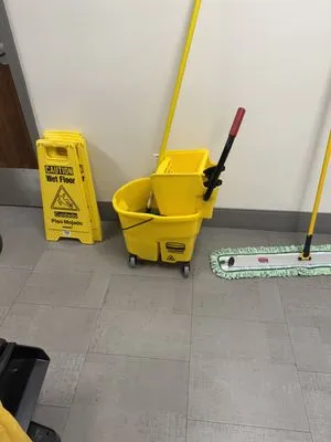 Mystery Assistant Cleaning and Lawn Logo