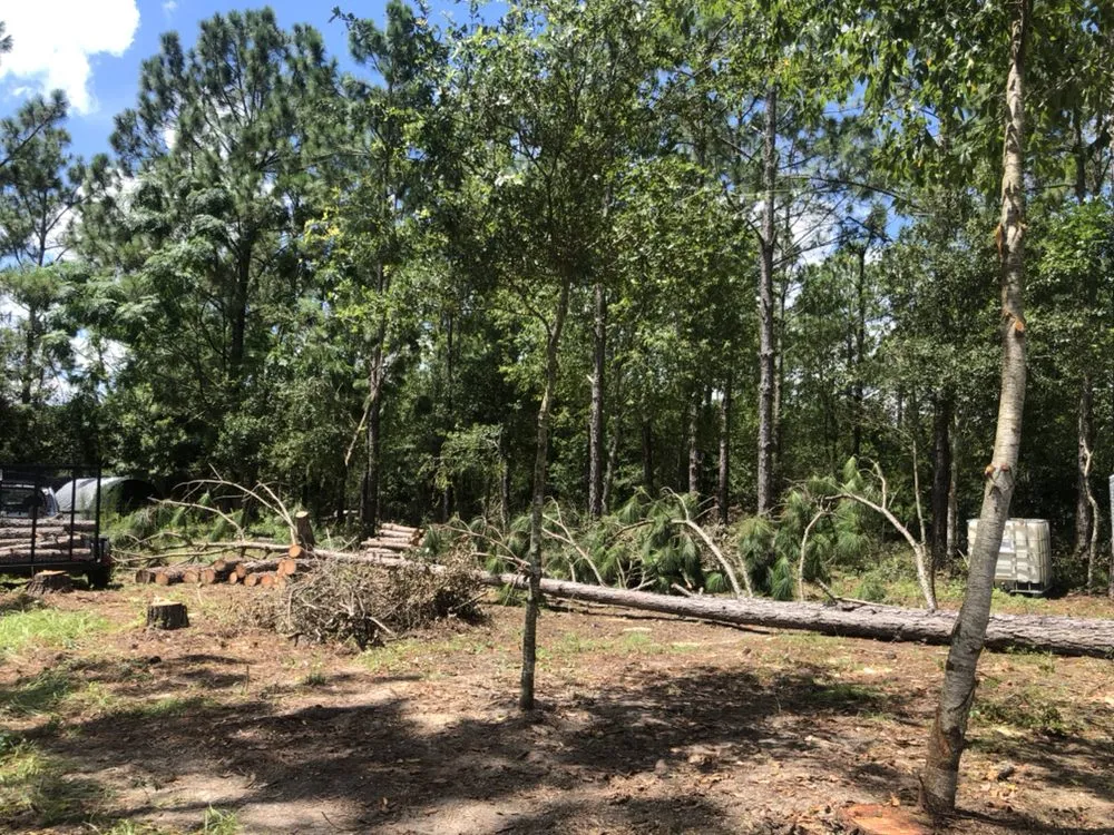 Trusted outdoor landscaping in Belleview, FL - Mystery Team