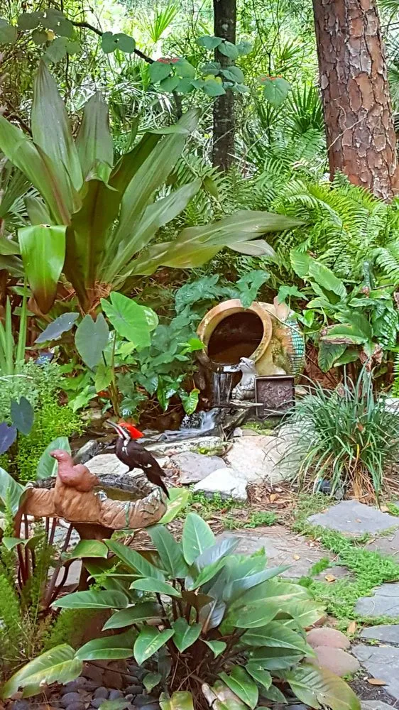 Trusted outdoor landscaping in North Port, FL - Mystic Falls & Ponds