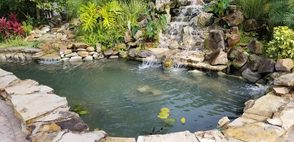 Professional lawn care service for residential properties in North Port, FL by Mystic Falls & Ponds