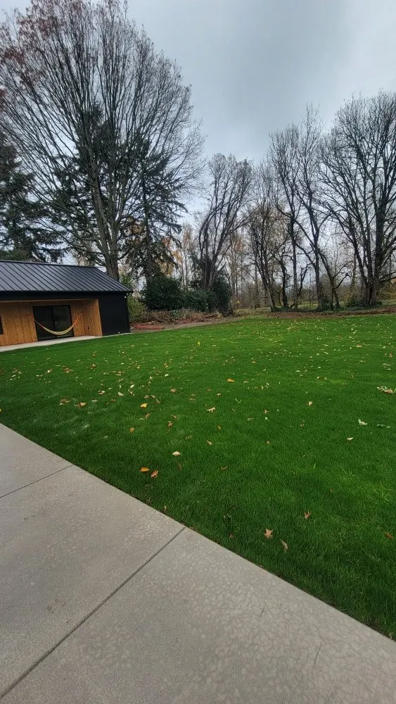 Top-rated lawn mowing service for beautiful yards across Eugene, OR - Mystic Landscaping
