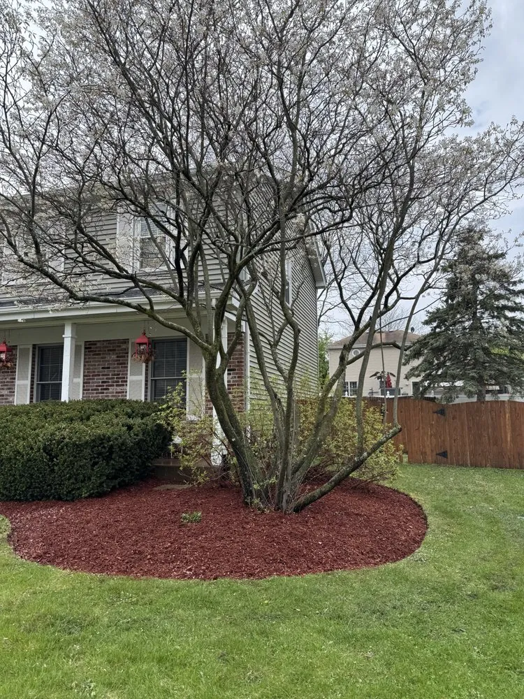 Reliable landscape design experts serving Elgin, IL - Mystic Lawn Care