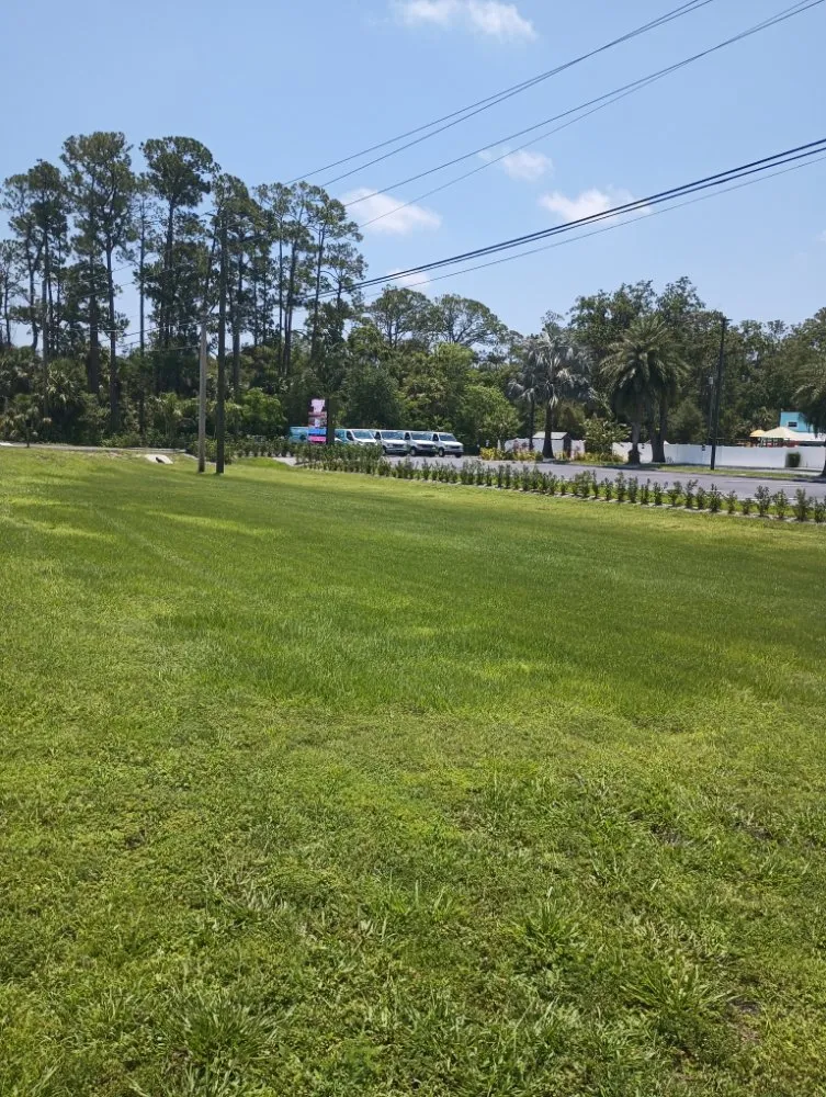 Affordable residential landscaping for outdoor upgrades in Melbourne, FL by Mystic Lawn Care