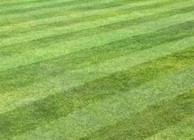 Reliable outdoor landscaping experts serving Rapid City, SD - Mystic Mountain Landscapes