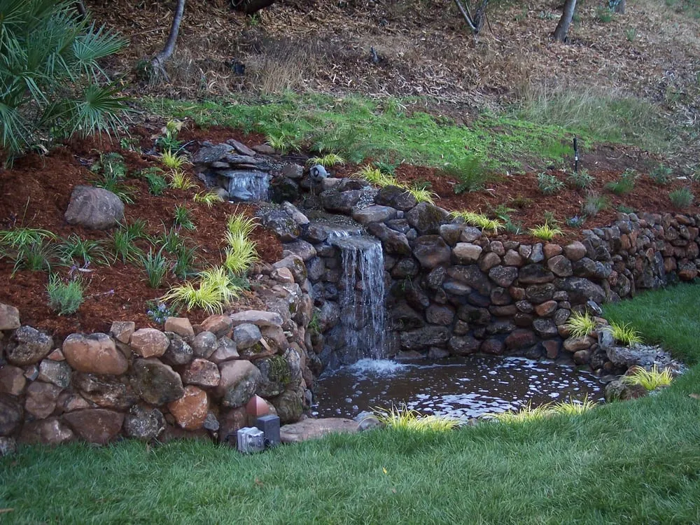 Affordable yard maintenance for year-round maintenance across San Rafael, CA - Mystical Landscapes