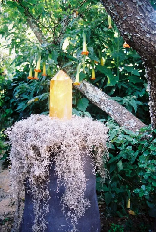 Expert residential landscaping for outdoor upgrades across San Rafael, CA - Mystical Landscapes