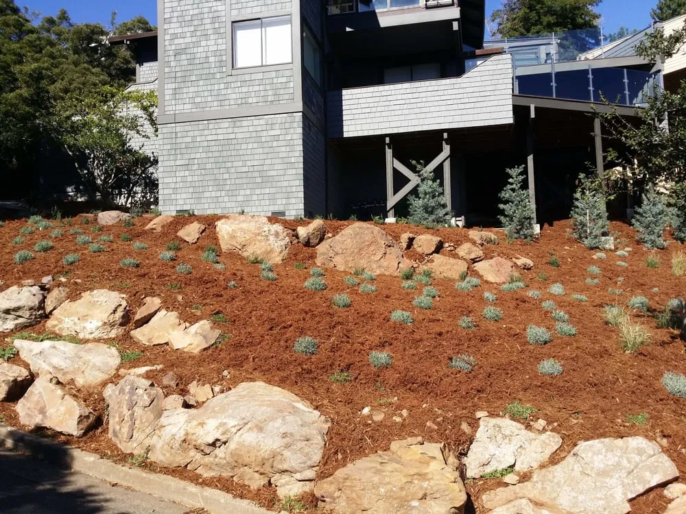 Expert yard cleanup service for homes in San Rafael, CA by Mystical Landscapes