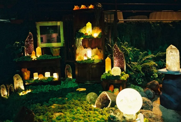 Trusted yard maintenance for homes in San Rafael, CA by Mystical Landscapes