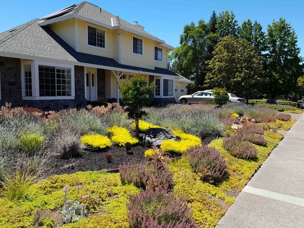 Professional yard cleanup service in San Rafael, CA by Mystical Landscapes