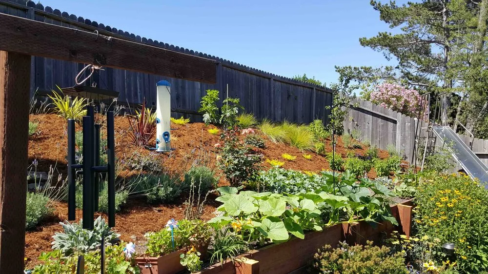Reliable yard maintenance with custom design in San Rafael, CA by Mystical Landscapes