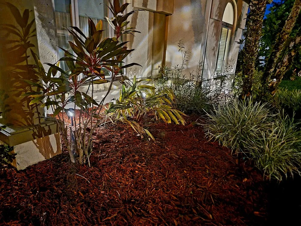 Expert yard maintenance for year-round maintenance across Oviedo, FL - Mystical Landscaping