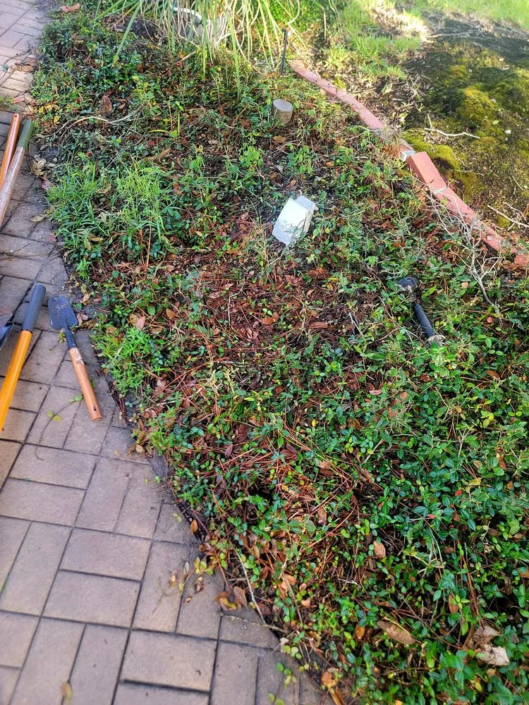 Affordable landscape installation experts serving Oviedo, FL - Mystical Landscaping