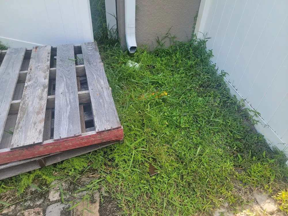 Trusted landscaping services experts serving Oviedo, FL - Mystical Landscaping