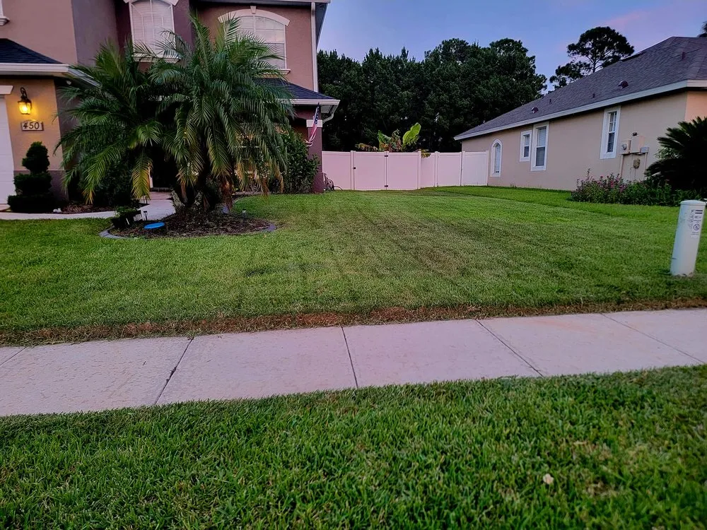Expert landscape installation in Oviedo, FL - Mystical Landscaping