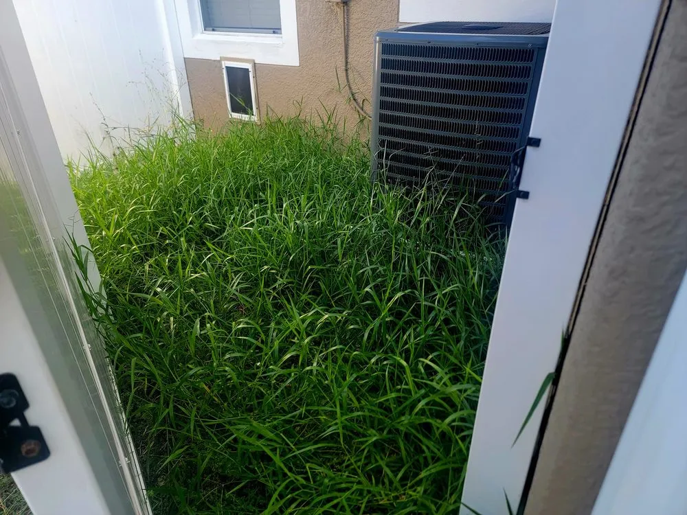 Top-rated lawn mowing service for residential properties in Oviedo, FL by Mystical Landscaping
