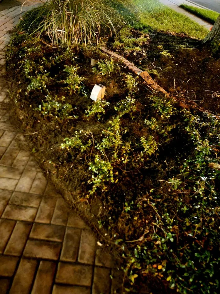 Reliable lawn mowing service experts serving Oviedo, FL - Mystical Landscaping