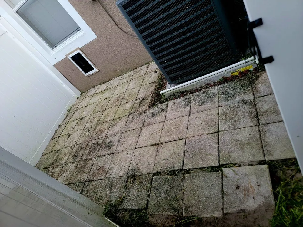 Local yard cleanup service experts serving Oviedo, FL - Mystical Landscaping