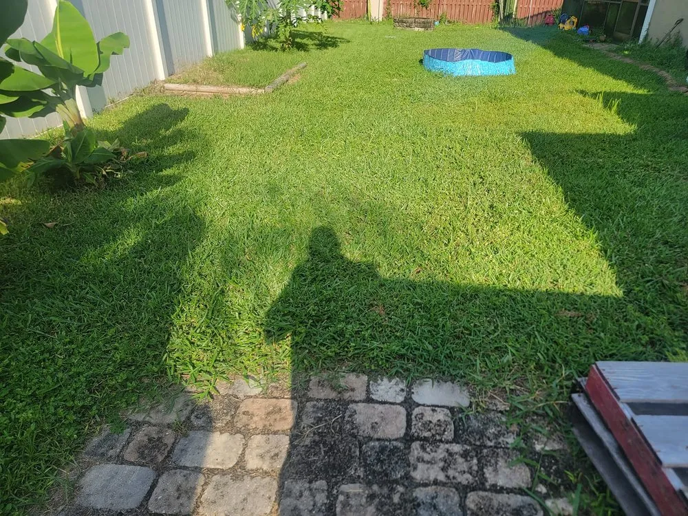 Expert lawn care service in Oviedo, FL by Mystical Landscaping