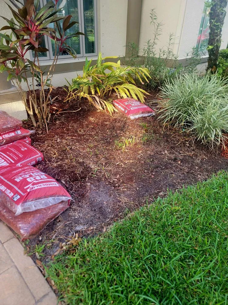 Professional landscaping services in Oviedo, FL - Mystical Landscaping