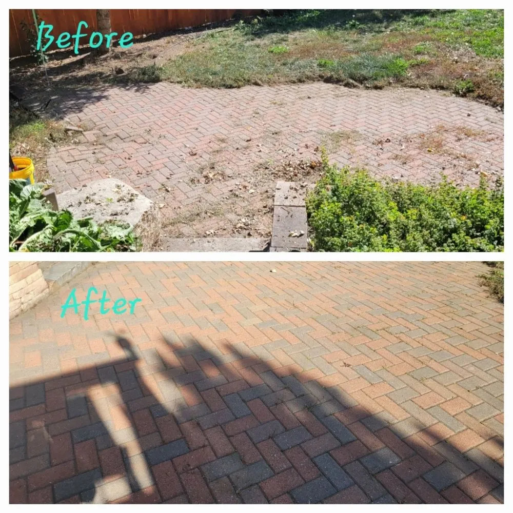 Local yard cleanup service experts serving Lochbuie, CO - Mythical Landscaping