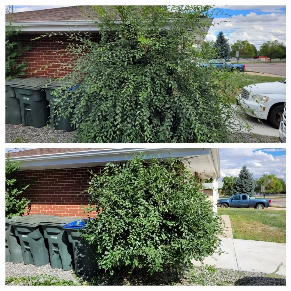 Custom lawn care service in Lochbuie, CO - Mythical Landscaping