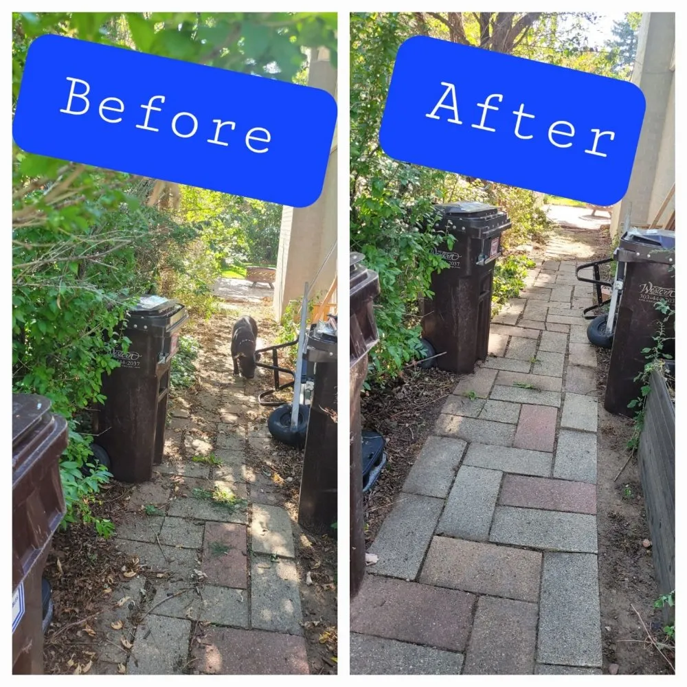 Top-rated yard cleanup service in Lochbuie, CO - Mythical Landscaping