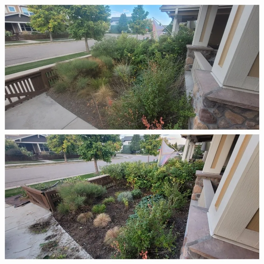 Professional landscape installation near you in Lochbuie, CO by Mythical Landscaping