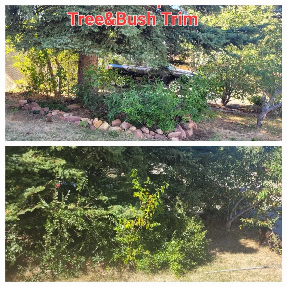 Affordable landscape design for residential properties across Lochbuie, CO - Mythical Landscaping