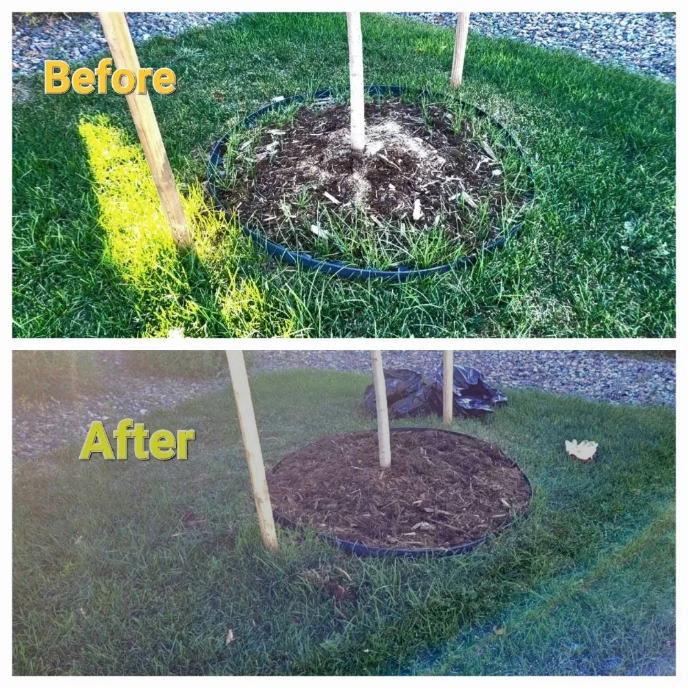 Top-rated lawn mowing service experts serving Lochbuie, CO - Mythical Landscaping