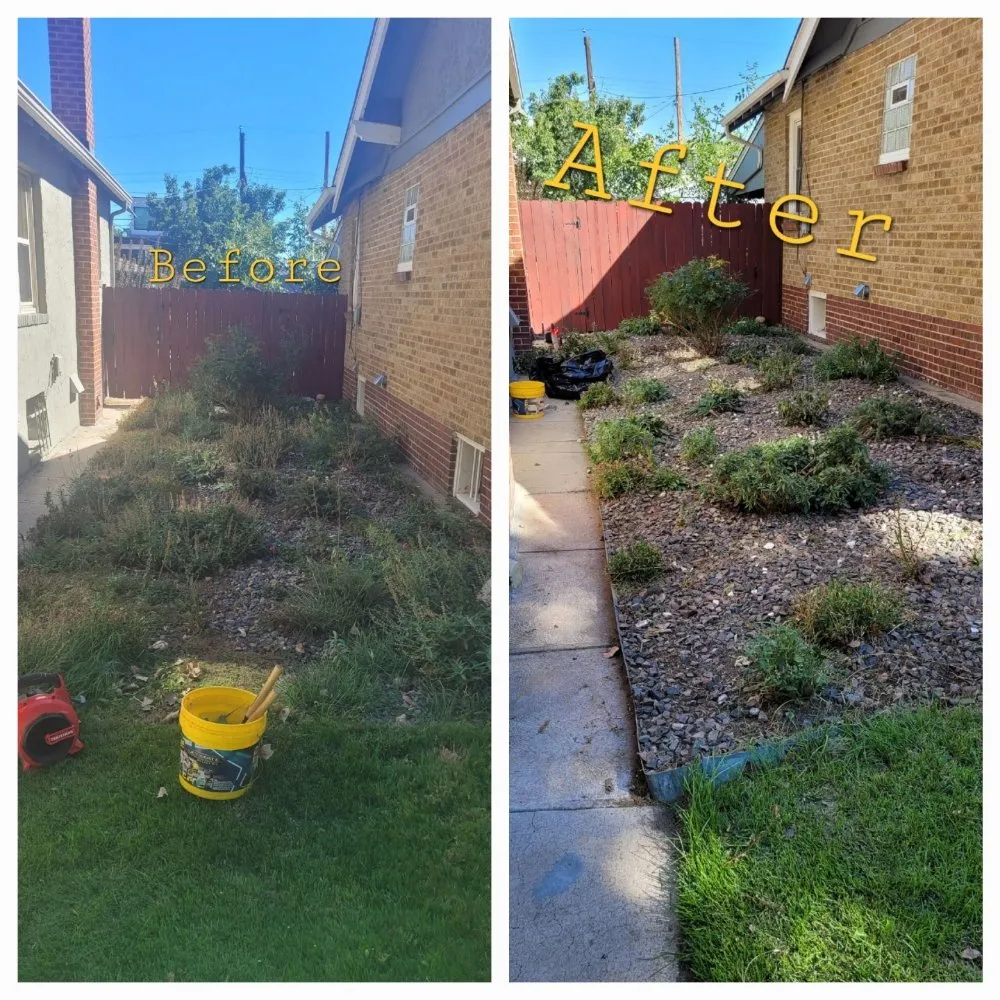 Trusted yard maintenance in Lochbuie, CO by Mythical Landscaping
