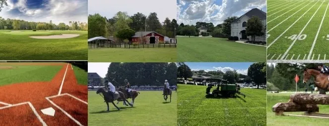 Top-rated yard cleanup service in Anderson, SC by Mytth Spray Solutions