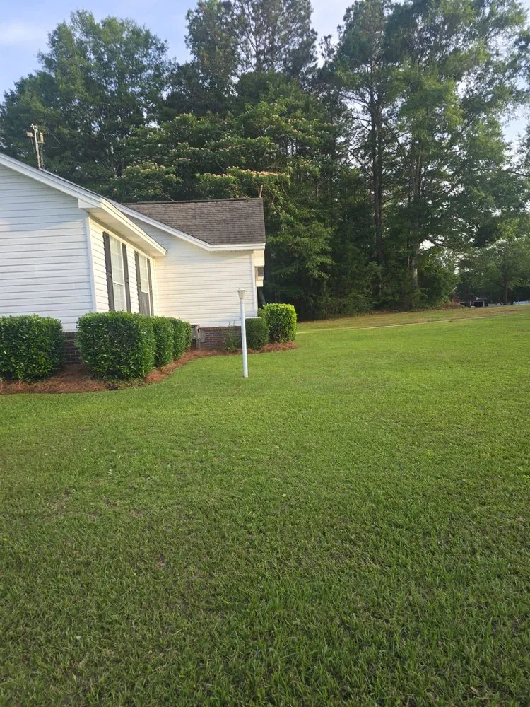 Professional landscape installation for outdoor upgrades across Jackson, AL - Mz. Daisy's Lawn Care