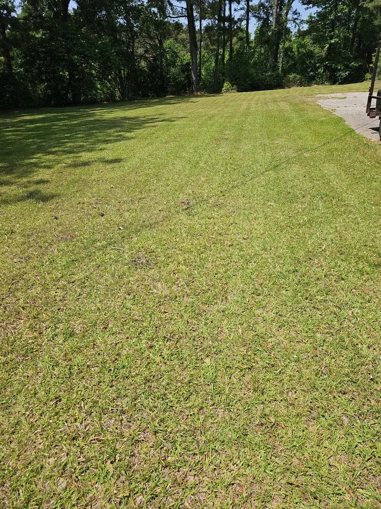 Trusted outdoor landscaping in Jackson, AL by Mz. Daisy's Lawn Care