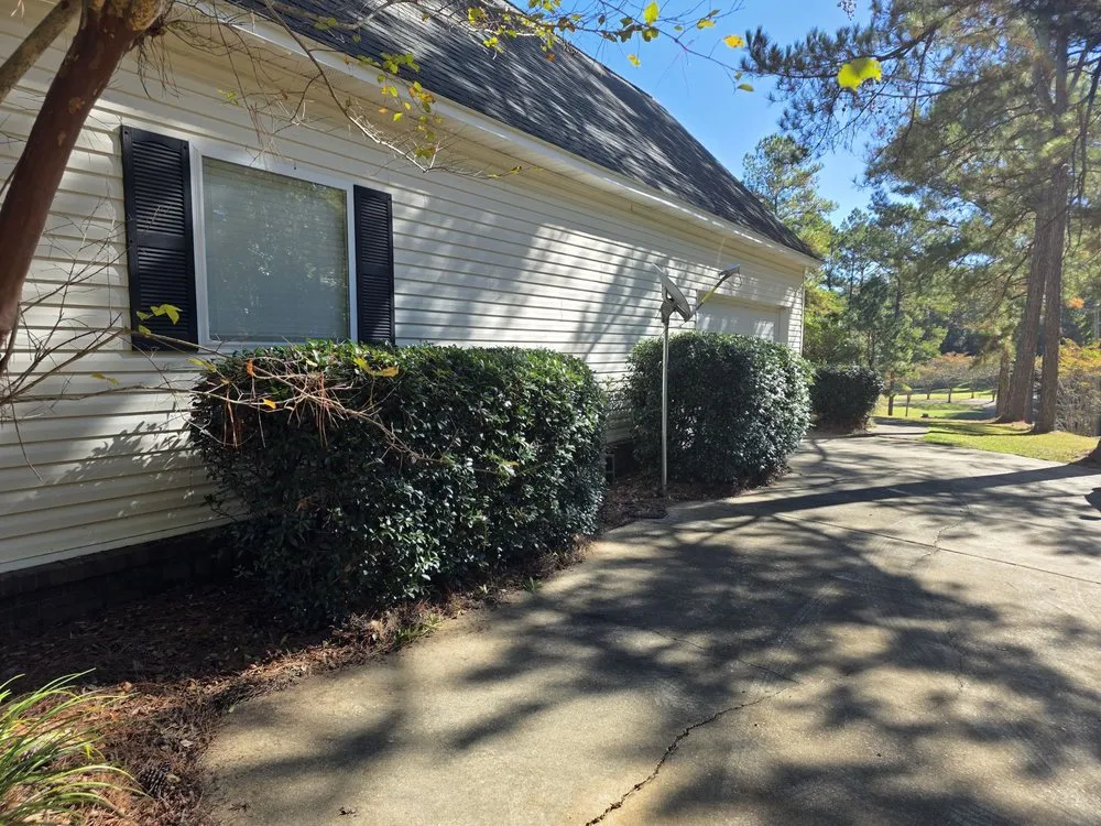 Top-rated lawn care service in Jackson, AL - Mz. Daisy's Lawn Care