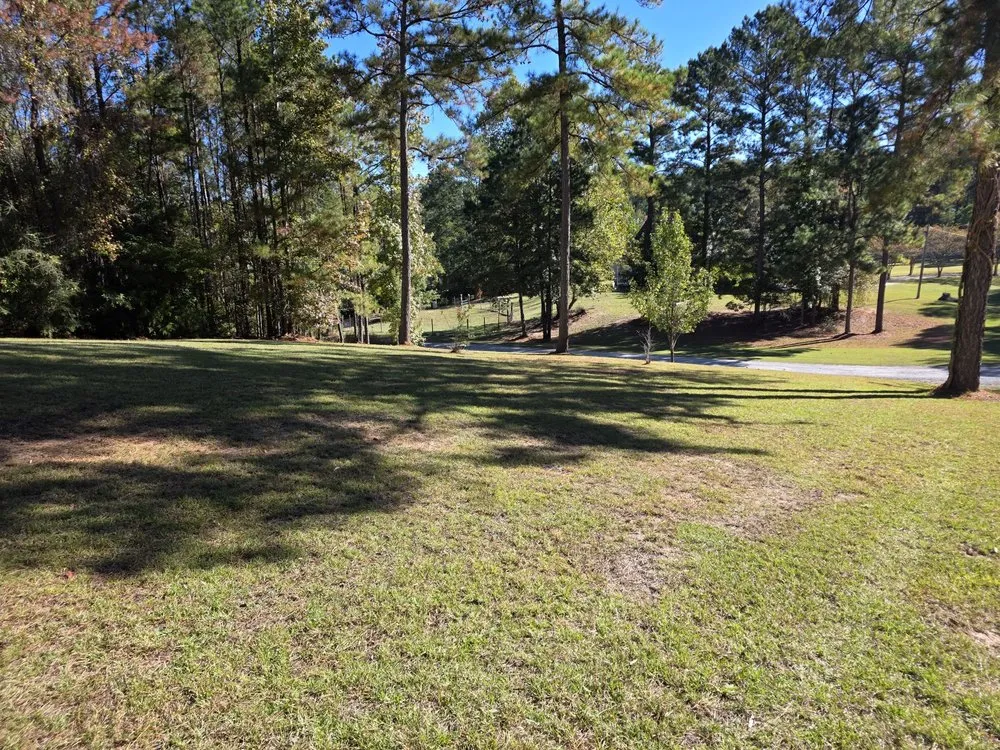 Professional lawn care service in Jackson, AL - Mz. Daisy's Lawn Care