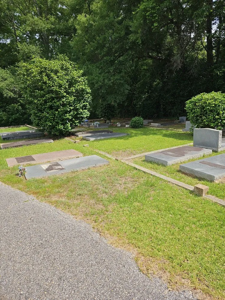 Trusted landscape design for beautiful yards across Jackson, AL - Mz. Daisy's Lawn Care