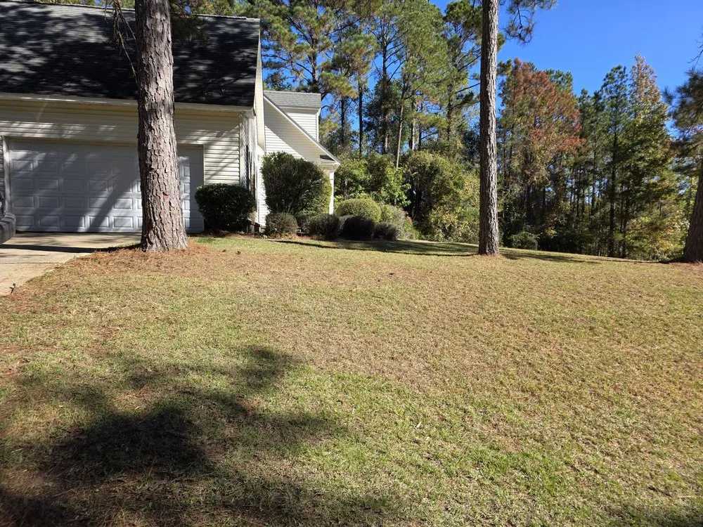 Professional landscaping services near you in Jackson, AL by Mz. Daisy's Lawn Care