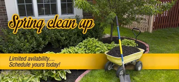 Mz Landscaping Services Logo